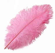 Light Pink Ostrich Feather 