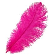 Dark Pink Ostrich Feather