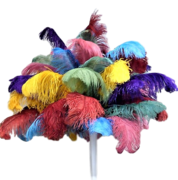 Multicolored Feather Centerpiece