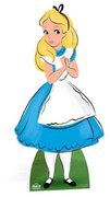Alice in Wonderland Stand Up Prop