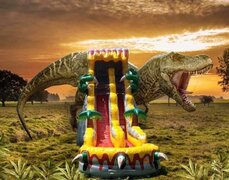 20ft Dinosaur Slide with Deep Pool