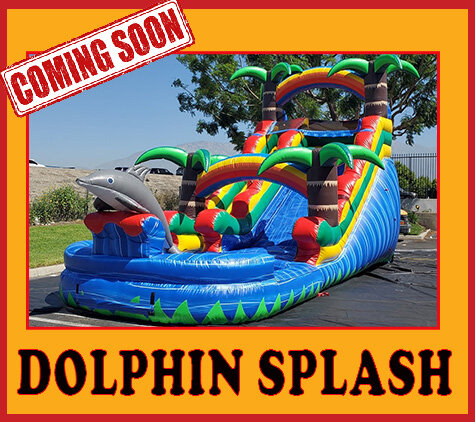 S05 - 16 FT Dolphin Splash With Pool S05 - 16 FT Dolphin Splash With Pool