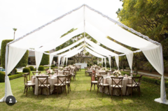 Draped Canopies