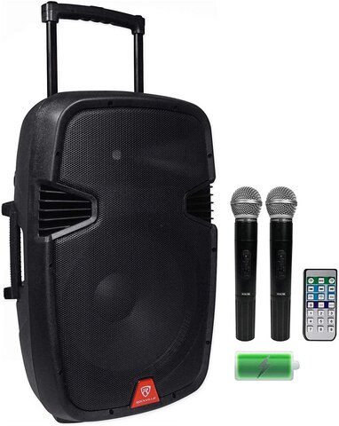 PA Speaker (2 mics/bluetooth)