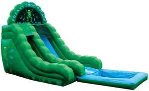 Frog Splash Down Frog Splash Down
