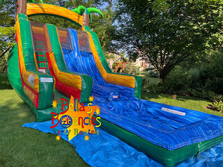 18ft Dual Lane Tropical Ice Slide $525 WET or  $450 DRY