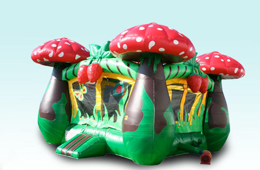 Chicago Strawberry Mushroom Bounce House Moonwalk Inflatable Bouncy Castle Rental in Chicago IL