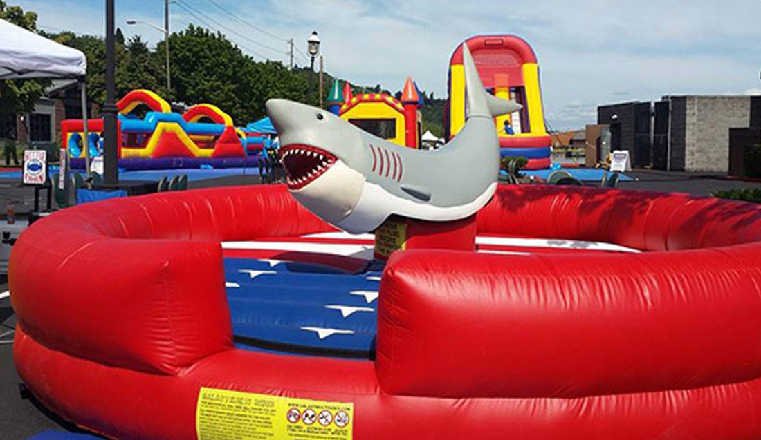 Mechanical Shark Rental, Chicago IL.  Great for Luau & Tropical parties.