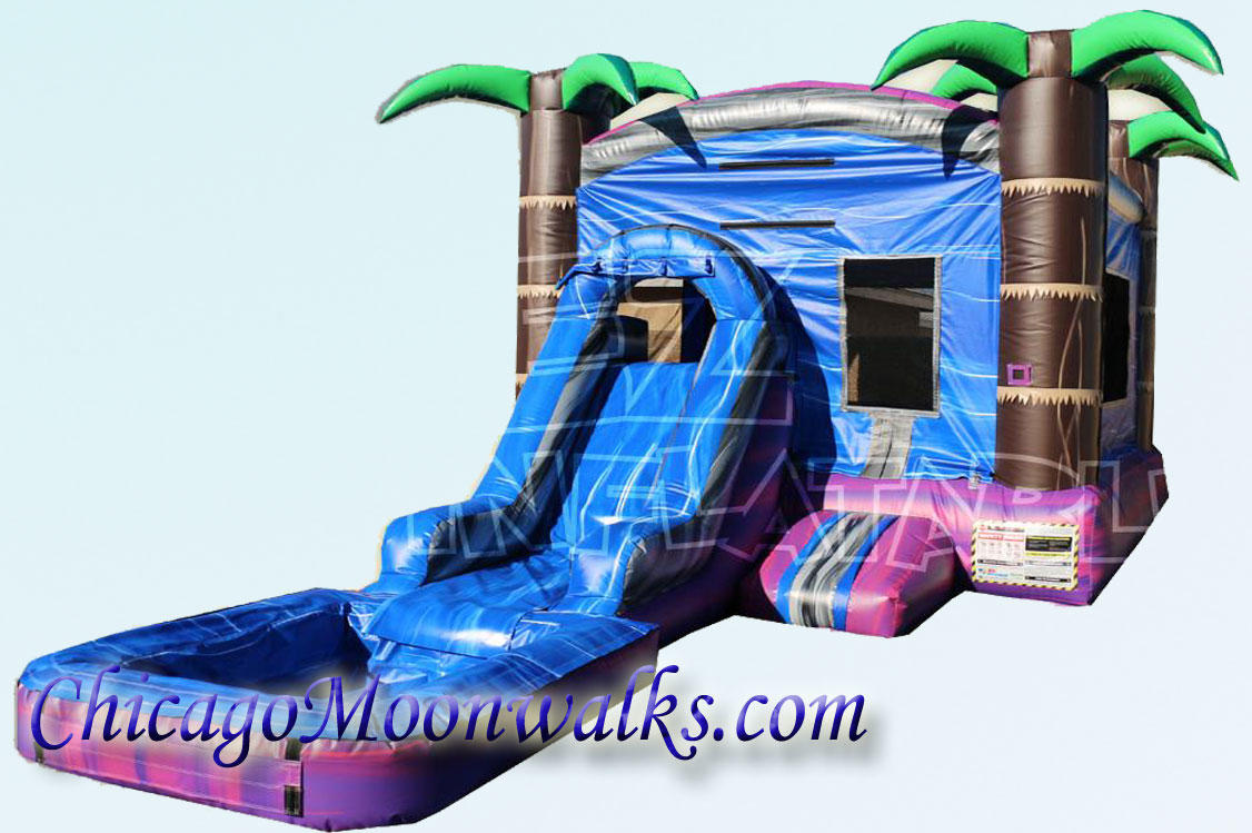 Purple Crush Wet Combo Rental Bounce House in Chicago IL