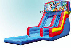 Mickey Mouse Waterslide with Pool