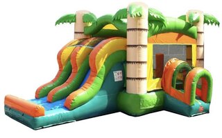 Kids Tropical Double Slide Combo