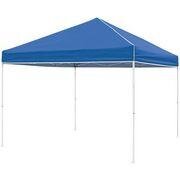 10x10 Canopy 10x10 Canopy