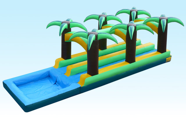 Tropical Dual Lane Slip N Slide