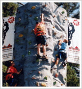 Rock Wall-Standard