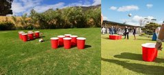 Giant Pong
