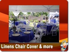 Linens Chair Covers and Napkins Linens Chair Covers and Napkins