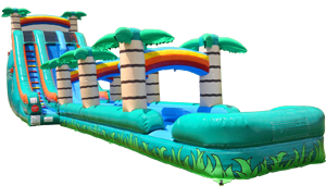 Giant Tropical Slide w/ Slip n Slide Giant Tropical Slide w/ Slip n Slide