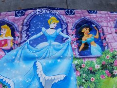 Disney Princess  Banner