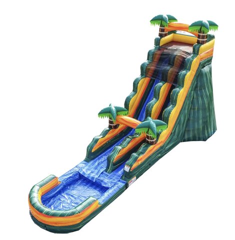 Palm Paradise 19' Wet and Dry Palm Paradise 19' Wet and Dry