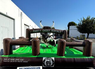 Bull