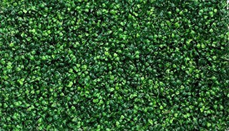 Grass Wall Panel Grass Wall Panel