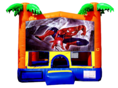 Spiderman Cool Tropical Spiderman Cool Tropical