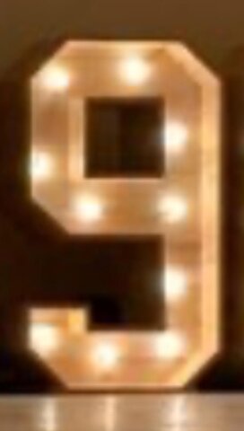 4ft Marquee Number 9 4ft Marquee Number 9