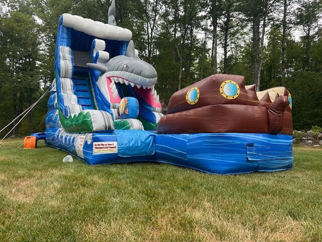 Shark Slide Shark Slide