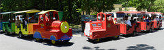 Trackless Train & Fire Truck 