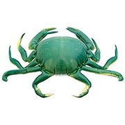 Inflatable Crab 20