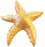 Inflatable Starfish 20 Inflatable Starfish 20