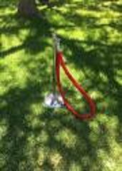 Stanchion red Rope 