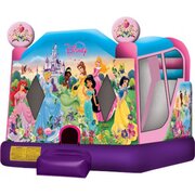 Disney Princess Bounce and Slide Combo Dry