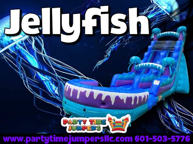 Jellyfish Slide Jellyfish Slide