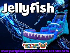 Jellyfish Slide