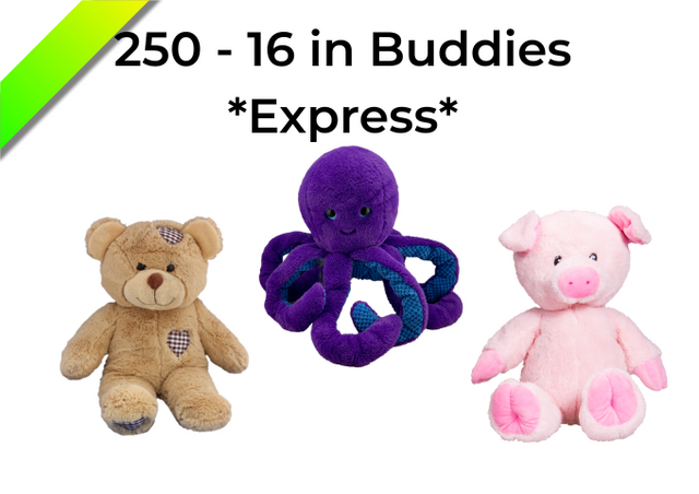 250 - 16 inch Buddies *Express* 250 - 16 inch Buddies *Express*