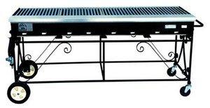 2 x 6 Propane Grill 2 x 6 Propane Grill