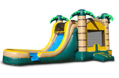 Tropical 4-1 Wet-Dry Combo Tropical 4-1 Wet-Dry Combo