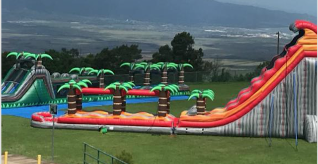 32' Giant Dual Lane Slide 32' Giant Dual Lane Slide