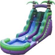 Giant Slides Giant Slides