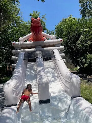 Making a splash on the wild side! 🌊🐉 Who's ready for some epic water adventures?
