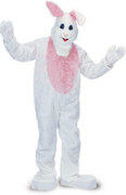 a White Mascot Bunny Costume a White Mascot Bunny Costume