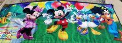 Mickey Panel Fits Castle Combo Mickey Panel Fits Castle Combo