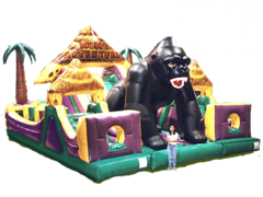 Kong Kong