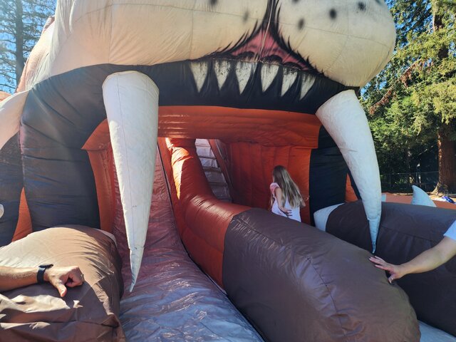 sabertooth-tiger-inflatable-giant-slide-rentals