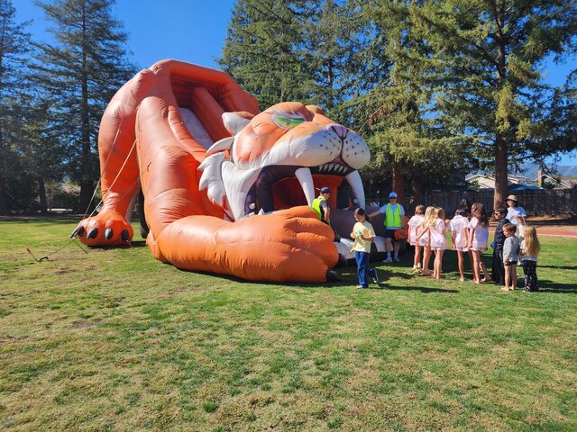 sabertooth tiger slide