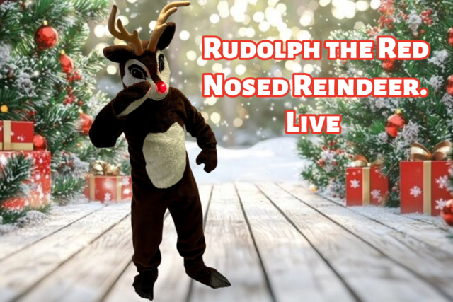 Rudolph The Reindeer Rudolph The Reindeer