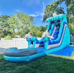 19' Dolphin Water Slide