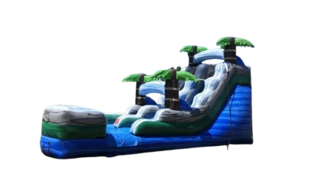 15' Palm Tree Slide