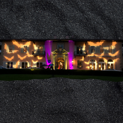 Flying Bats Gobo Projector Flying Bats Gobo Projector